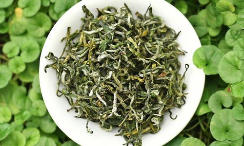 Mastering the Art of Preparing Artemisia selengensis without Offensive Odors