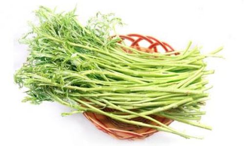 Mastering the Art of Preparing Artemisia selengensis without Offensive Odors