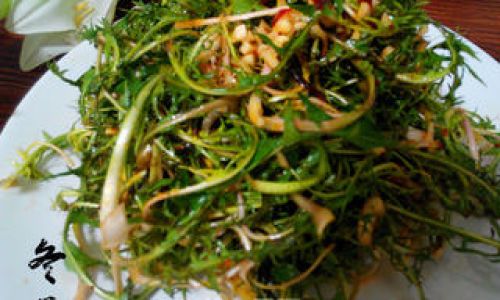 How to Make a Refreshing Dandelion Salad