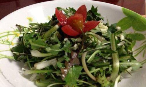 How to Make a Refreshing Dandelion Salad