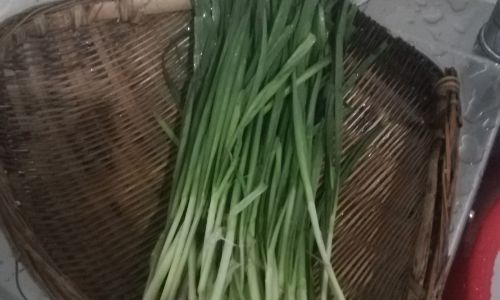 Mastering the Art of Stir-Frying Leek and Pork Slices:A Comprehensive Guide
