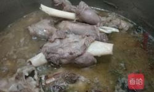 How to Make Delicious Lamb Shank Bone Soup:A Culinary Journey