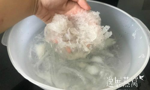 How Long Can Soaked Edible Birds Nest Be Stored?
