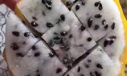 Why Pitaya Fruits Dragon Fruit)Command Such a High Price