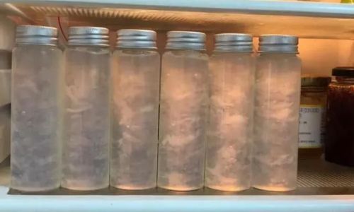 Should You Store Edible Birds Nest in the Refrigerator?
