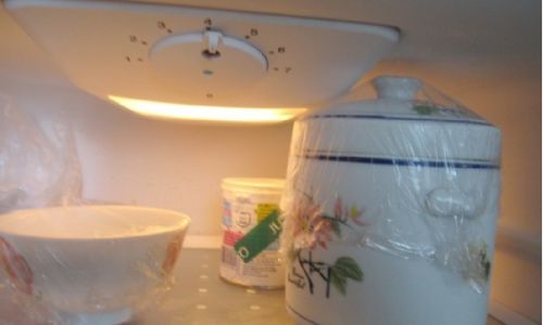 Should You Store Edible Birds Nest in the Refrigerator?