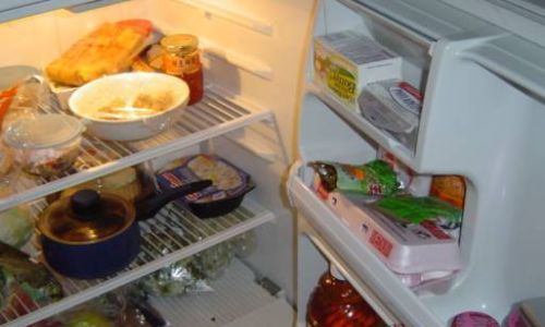 Should You Store Edible Birds Nest in the Refrigerator?