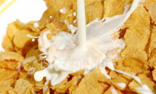 The Art of Crafting Oatmeal:A Comprehensive Guide