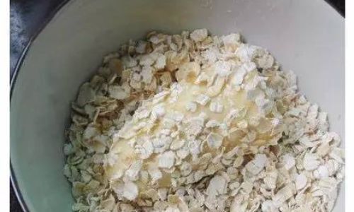 Crafting Nutritious and Delicious Oat Meals:A Culinary Guide