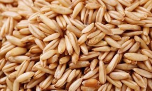 Discovering the Versatile Delights of Oat Groats:How to Cook and Enjoy Them