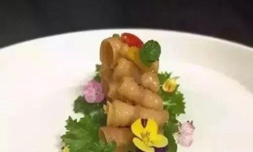 How to Prepare and Cook Goose-like Swan Anser cygnoides)A Culinary Guide