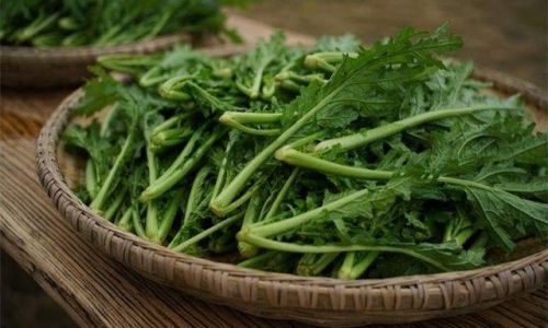 Preserving Salt-Preserved Potherb Mustard:A Comprehensive Guide