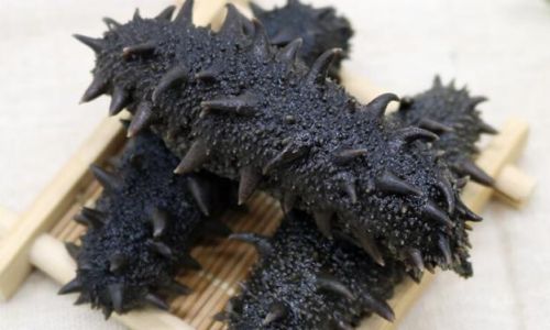 How to Make and Enjoy Salt-Preserved Sea Cucumbers
