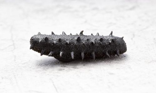 How to Make and Enjoy Salt-Preserved Sea Cucumbers