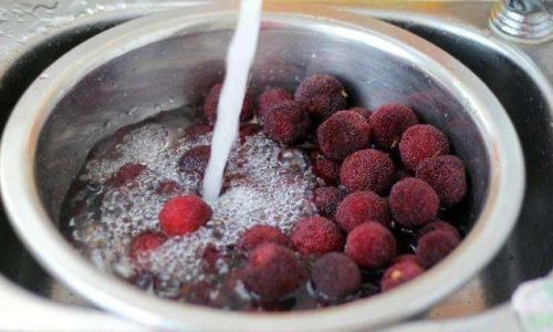 Crafting Delicious Salted Plum:A Culinary Journey