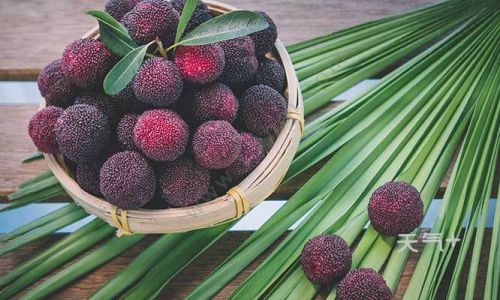 Crafting Delicious Salted Plum:A Culinary Journey