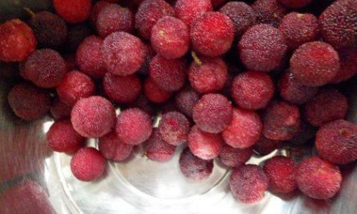 Crafting Delicious Salted Plum:A Culinary Journey