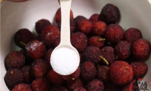 Crafting Delicious Salted Plum:A Culinary Journey