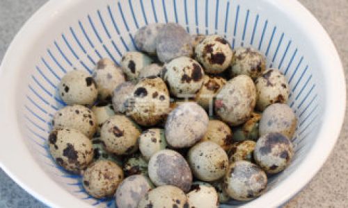 The Art of Making Salt-Preserved Quail Eggs