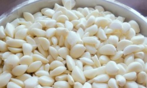 The Comprehensive Collection of Salty Garlic Pickling Recipes