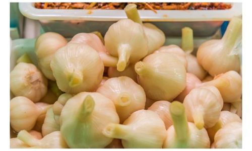 The Comprehensive Collection of Salty Garlic Pickling Recipes