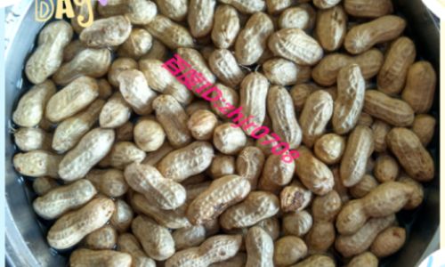 How to Cook Shelled Peanuts in Salted Water:A Step-by-Step Guide