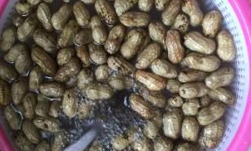 How to Cook Shelled Peanuts in Salted Water:A Step-by-Step Guide