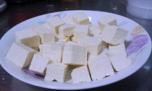 Mastering the Art of Making Salt-Brined Tofu:Tips and Techniques