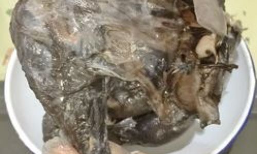 How to Make Salt-Baked Black-Boned Chicken