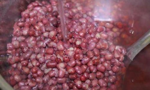 Mastering the Art of Cooking Red Beans:A Comprehensive Guide to Perfect Texture and Flavor