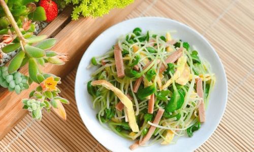 Mastering the Art of Cooking Black Bean Sprouts:Delicious and Easy Recipes for Every Kitchen