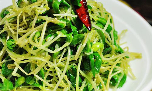 Mastering the Art of Cooking Black Bean Sprouts:Delicious and Easy Recipes for Every Kitchen