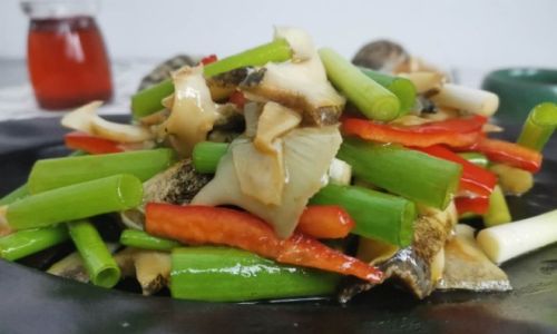 The Great Debate:Cooking Sea Snails with Cold vs.Hot Water Which Method Reigns Supreme?