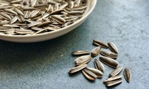 The Art of Crafting Perfectly Roasted Pumpkin Seeds:A Step-by-Step Guide