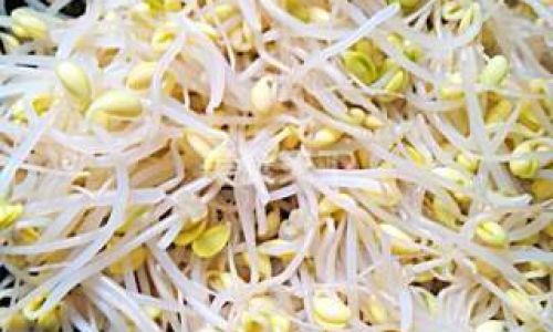 Mastering the Art of Stir-Fried Soybean Sprouts:A Guide to Perfectly Crisp and Flavorful Dishes