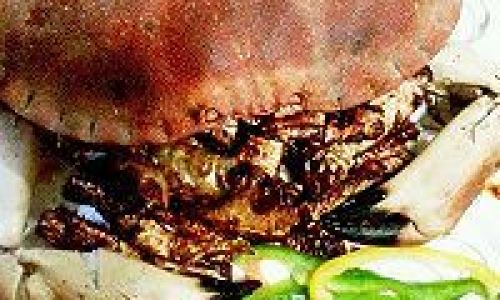 Mastering the Art of Making Sauce-Exploded Bread Crab