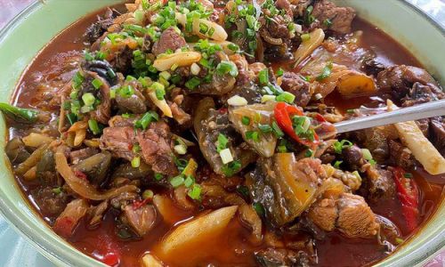 How to Cook Turtle and Free-Range Chicken Stew:A Culinary Delight