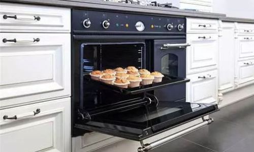 How to Make Simple Yet Delicious Dishes with Your Home Oven