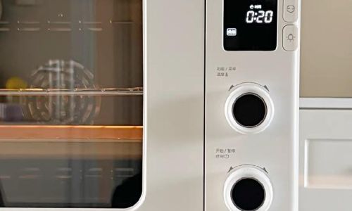 How to Make Simple Yet Delicious Dishes with Your Home Oven