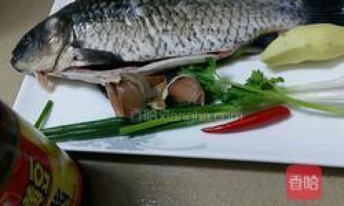 How to Cook Homemade Carp:A Step-by-Step Guide