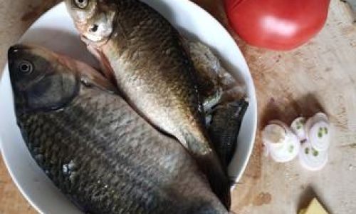 How to Cook Homemade Carp:A Step-by-Step Guide