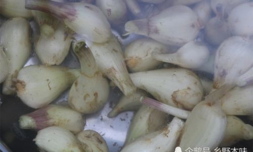 How to Make Homemade Jiaotong Allium Chinense)A Culinary Delight