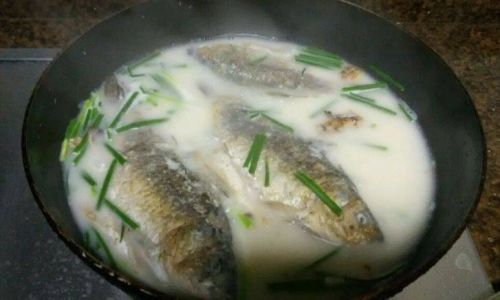 Mastering the Art of Making Delicious Carp Soup