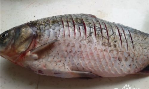 How to Cook Carp Deliciously and Simply