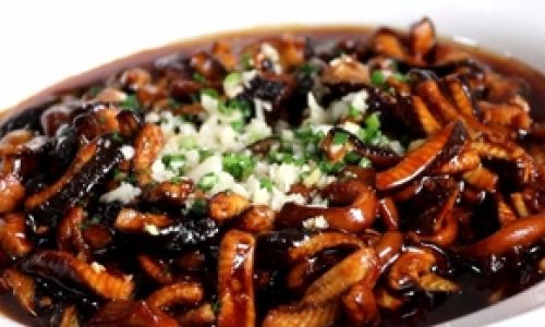 Mastering the Art of Making Simple yet Delicious Eel Dishes
