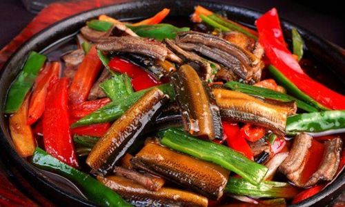 Mastering the Art of Making Simple yet Delicious Eel Dishes
