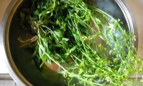 How to Make Mustard Flower-Boiled Eggs:A Culinary Delight