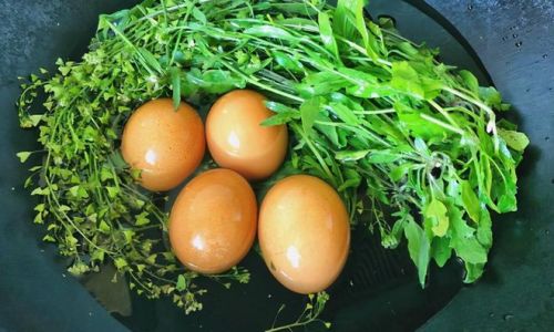 How to Make Mustard Flower-Boiled Eggs:A Culinary Delight