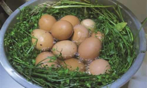 How to Make Mustard Flower-Boiled Eggs:A Culinary Delight