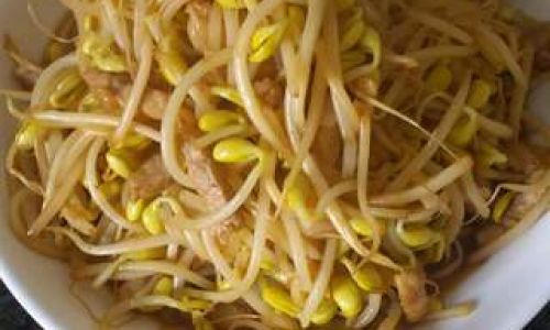 Mastering the Art of Chicken Thigh Stir-Fry with Bean Sprouts
